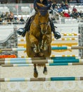 Equestrian Sports, Horse jumping Show Jumping competition Horse Riding themed photo view of rider jumping over hurdle during an Royalty Free Stock Photo