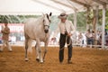 Equestrian test functionality with 3 pure Spanish horses