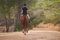 Equestrian, trail and riding a horse in nature on adventure and journey in countryside. Ranch, animal and back of rider Royalty Free Stock Photo
