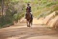 Equestrian, trail and riding a horse in nature on adventure and journey in countryside. Ranch, animal and rider outdoor Royalty Free Stock Photo