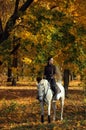 Equestrian woman galloping arabian horse down the path in the autumn evening