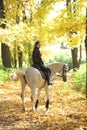 Equestrian woman galloping arabian horse down the path in the autumn evening