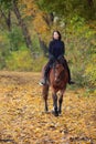 Equestrian woman galloping white arabian horse down the path in the autumn evening