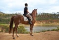 Equestrian, woman and horse in nature for ride on adventure and journey in countryside. Ranch, animal and rider outdoor Royalty Free Stock Photo