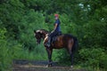 Equestrian woman riding horse in summer nature