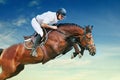 Equestrianism: rider in jumping show Royalty Free Stock Photo