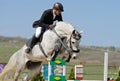 Equestrianism: rider in jumping show Royalty Free Stock Photo