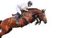 Equestrianism: rider in jumping show Royalty Free Stock Photo