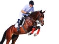 Equestrianism: rider in jumping show, isolated