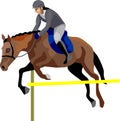 Equestrianism Sport People Ride Horse Vector