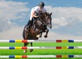 Equestrianism: Young girl in jumping show Royalty Free Stock Photo