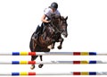 Equestrianism: Young girl in jumping show, isolated Royalty Free Stock Photo