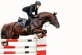 Equestrianism: Young girl in jumping show, isolated Royalty Free Stock Photo