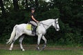 Equestrian girl on horseback trail riding