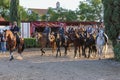 Equestrians at National Horse Fair 2022 in Golega, Portugal.