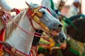 Equestrians participating in a traditional fancy event named Tbourida dressed in a traditional Moroccan outfit Royalty Free Stock Photo