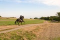 Equestrienne and a horse.