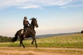 Equestrienne and a horse.