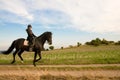 Equestrienne and a horse.