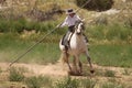 Equine Demonstration Las Golondrinas Summer Fest.