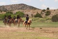 Equine Demonstration Las Golondrinas Summer Fest.