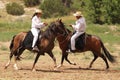 Equine Demonstration Las Golondrinas Summer Fest.