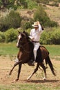 Equine Demonstration Las Golondrinas Summer Fest.