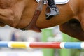 Equine detail (belly the saddle girth, the rider's boot and a barrier) photograp Royalty Free Stock Photo