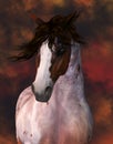 Equine Horse Portrait