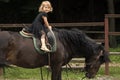 Equine therapy, recreation concept. Child sit in rider saddle on animal back Royalty Free Stock Photo
