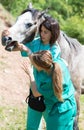 Equine veterinary Royalty Free Stock Photo