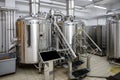 Equipment for brewing beer. Craft beer production Royalty Free Stock Photo