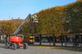 Equipped worker pruning a tree on a crane. Gardening