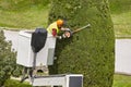 Equipped worker pruning a tree on a crane. Gardening