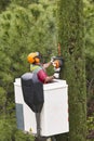 Equipped worker pruning a tree on a crane. Gardening