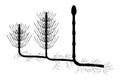 Horsetail (Equisetum arvense) black silhouette.