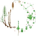 Equisetum life cycle. Diagram of life cycle of horsetail Equisetum Arvense with dioecious gametophyte Royalty Free Stock Photo