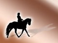 Equitation Royalty Free Stock Photo