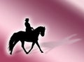Equitation background Royalty Free Stock Photo