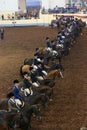 Equitation Class