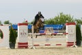 Equitation contest, horse jumping over obstacle Royalty Free Stock Photo