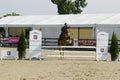 Equitation contest, horse jumping over obstacle Royalty Free Stock Photo