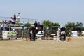 Equitation contest, horse jumping over obstacle Royalty Free Stock Photo