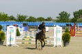 Equitation contest, horse jumping over obstacle Royalty Free Stock Photo