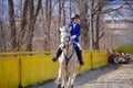 Equitation little girl horseback rider Royalty Free Stock Photo