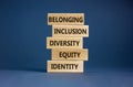 Equity identity diversity inclusion belonging symbol. Wooden blocks with words identity equity diversity inclusion