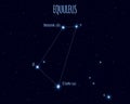 Equuleus constellation, vector illustration with the names of basic stars