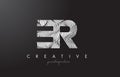 ER E R Letter Logo with Zebra Lines Texture Design Vector.