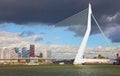 Erasma Bridge to Rotterdam, Nideranda