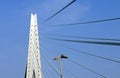 Erasmus Bridge Detail